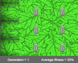 If one of those differences allows the individual to live longer, they will likely have more offspring. Evolution Mutation And Selection Pdf Free Download