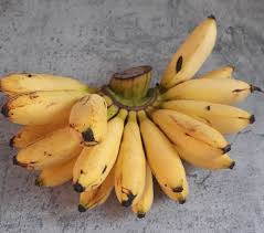 Jenis pisang ini mendapat permintaan tinggi di pasaran antarabangsa. 10 Jenis Pisang Indonesia Dan Cara Konsumsinya Popmama Com