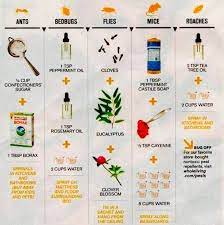 Chart To Get Rid Of Ants Bedbugs Flies Mice And Roaches Diy Pest Control Pest Control Insect Spray