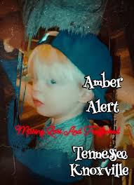 UPDATE: FOUND SAFE KNOXVILLE, Tenn.- An Amber Alert was issued for missing  two-year-old Elton Bailey, who was inside of a gold Ford Explorer that was  stolen from a homd