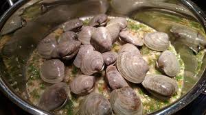 Preparing and cooking fresh clams cleaning fresh clams. Fresh Clams How To Store Prepare And Enjoy Them Baconfatte Com