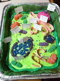Maybe you would like to learn more about one of these? Plant Cell Cake Celula Animal Proyectos Escolares Sistema Respiratorio Humano