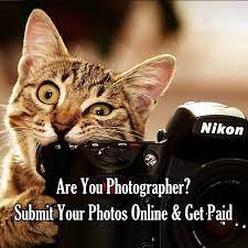 Find local 50 pet photography services near you. Photography Jobs Are You Photographer Need Side Income Just Submit Your Photos Online Get Paid Interested Please Comment Yes I Will Inbox You How To Get Paid Facebook