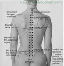 Acupuncture treatment is administered at specific points or sites on the body. Ex B 2 Hua Tuo S Paravertebral Points Huatuojiaji Acupuncture Points 1 Acupressure Therapy Acupuncture Points Acupuncture