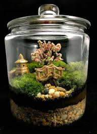 Mahmut Kirnik 2021 Terrarium Teraryum Minyaturler