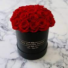 This article contains no synopsis. The Million Roses Other The Million Roses Basic Box Red Eternity Roses Poshmark