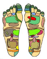 At speedy template, you can download foot reflexology chart. Reflexology Wikipedia