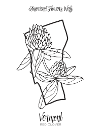 Vermont coloring page that you can customize and print for kids. 50 State Flowers Free Coloring Pages American Flowers Week