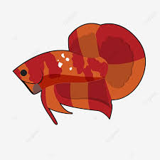 Check spelling or type a new query. Gambar Betta Fish Nemo Bersih Formulir Png Vector Ikan Cupang Betta Cupang Png Dan Vektor Dengan Latar Belakang Transparan Untuk Unduh Gratis