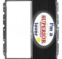 International / Bluebird Radiator - 3000, 3600, 3800, 4900 Series, School  Bus (1993-1996)