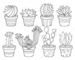 Estilo de dibujo image 54971149. Descargar Contorno De Cactus Y Suculentas Ilustracion De Stock 111801794 Dibujos De Macetas Pintura De Cactus Esbozar Dibujos