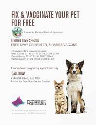 You may find you need to go back to your vet to get the stiches removed, or they why should i get my cat neutered? Spay Neuter The Humane Society Of Harford County