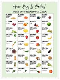 How Big Is Babyweekly Printable Growth Chart See How Big Etsy In 2020 Baby Growth Chart Fetus Growth Chart How Big Is Baby