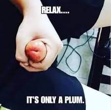 Well, if you are trying to find such dirty hilarious dirty birthday memes. Darkhumor101 On Twitter Relax You Re Dirty Mind D Darkhumor Darkjokes Darkmemes Memes Jokes Comedy Humor Humour Humorous Dailyjoke Memesdaily Dark Funny Funnymemes Memesquad Thoughtfortheday Enjoyit Plum Https T Co Ghmpeu7sut