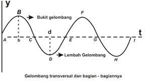 Contoh gelombang transversal adalah gelombang pada tali. Gelombang Transversal Dan Gelombang Longitudinal Beserta Penerapannya Kumparan Com