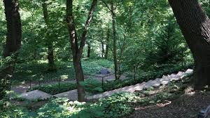 Ein stück halle für zu hause: Reichardts Garten Reich An Baumen Meine Handelstadt Halle