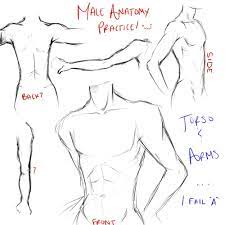 Anime Anatomy Reference Contoh Soal Pelajaran Puisi Dan Pidato Populer That means draw them, not just look at them. anime anatomy reference contoh soal