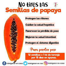 Semillas de papaya y sus beneficios ✔️✔️