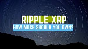 To understand the path to how xrp will perform in 2021, and how 2020 shaped it, it is pertinent to go back a few more years and examine the should i invest in ripple now? How Much Xrp Should You Buy Youtube