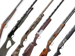 Check spelling or type a new query. The Best New Shotguns Of 2021