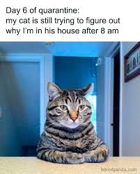 images?q=tbn:ANd9GcRUWOOE70wA1cjhedtM9GF2Y0Bpgx1gS6ZOWw&usqp=CAU