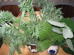 Traditii rusalii 2020 rusaliile sunt obiectul mai multor traditii in romania, in functie de zonele tarii. Romanian Customs And Superstitions On Pentecost The Romania Journal