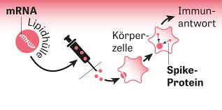 Art des impfstoffs und funktionsweise. Impfstoffe Gegen Corona Hoffnungstrager Zeit Online