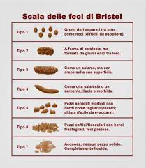 Chi soffre di colite dovrebbe quindi fare attenzione e ridurre notevolmente il consumo di : Dieta Per Colite Spastica Cosa Mangiare E Cibi Da Evitare