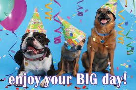 [Image: images?q=tbn:ANd9GcRUWdO6jVTtW5qr1RDdLC6...LB8uQYK3zQ]