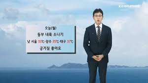 네이트 뉴스 - News update
