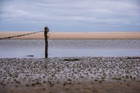 Norderney | wangerooge | spiekeroog | langeoog | juist | baltrum | borkum Wattenmeer Nordsee Steckbrief Bilder
