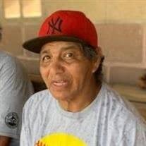 Robin Beaver Obituary