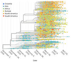 Customize and download for free. Is The Coronavirus Mutating Yes Here S Why You Don T Need To Panic Science News