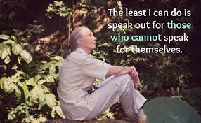 These Amazing Jane Goodall Quotes Will Inspire You To Fight For Animals And Nature Jane Goodall Quotes Jane Goodall Amazing Quotes
