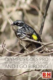 Olympus Goes Pro With Two New Binoculars And I Go Birding Olympus Binoculars Gopro
