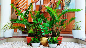 Discover ways to make unique planters with inexpensive and recycled garden pots and if you are a one and done kind of gardener, perhaps a giant hanging basket like this one is your planter of choice. Beautiful Home Garden Ideas Hanging Plants Malayalam Indoor Plants Salu Koshy Creative Garden Veedu Youtube