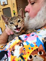 Adopting a sweet one eyed kitty