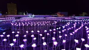 A Lovely Field Of Led Flowers At A Light Festival In Seoul South Korea Led Flower Flower Lights Light