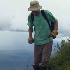 Image result for Magnistipula butayei