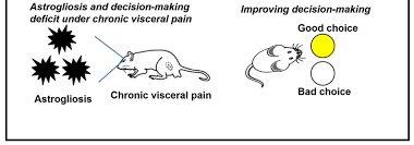 Image result for Tricliceras lobatum