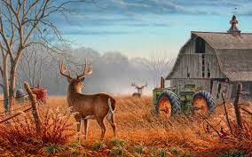 Images & pictures of hunting wallpaper download 41 photos. Deer Hunting Wallpaper Hd Kolpaper Awesome Free Hd Wallpapers