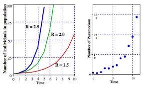 How Populations Grow The Exponential And Logistic Equations Learn Science At Scitable