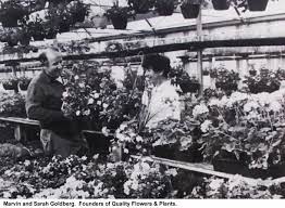 Maybe you would like to learn more about one of these? Salt Lake City Utah Quality Flowers And Plants