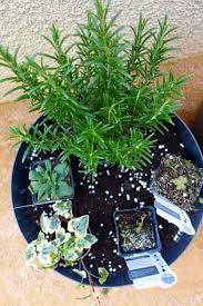 So if you are looking to join the craze, you will definitely need to find some beautiful planters to put all your new plant friends in! Pot 1