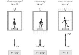 Weight Force Exerted On A Body By Gravity W Mg This Shows That The Weight Of The Stick Figure Is Equals To Mass T Science For Kids Stick Figures Mass Times