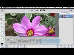 Photoshop Elements 11 Tutorial The Magical Magnetic Lasso Tool Photoshop Elements Tutorials Photography Software Photoshop Elements