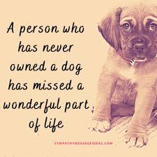 What to say when a dog dies. 57 Heartbreaking Loss Of Dog Quotes Images Comforting Ways To Remember Your Pal Sympathy Card Messages