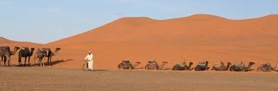 He has many years experience taking camel treks into the dunes. Eight Things We Learned About Morocco The Meanderthals Com