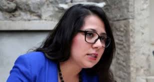 Vefa lisesinin ardından i̇stanbul üniversitesi hukuk fakültesinde lisans eğitimini, sosyal bilimler enstitüsü özel hukuk bölümünde yüksek lisans eğitimini tamamladı. Chp Li Vekil Saliha Sera Kadigil Sutlu Yemin Metnini Okuyamadi Dailymotion Video