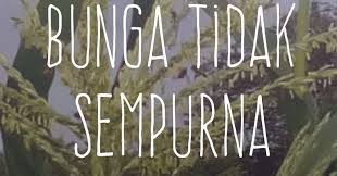 Terbaru 30 Gambar Bunga Sempurna Dan Tidak Sempurna Beserta Penjelasannya Bunga Tidak Sempurna Contoh Dan Pengertian Ilmusiana Bunga Gambar Menggambar Bunga